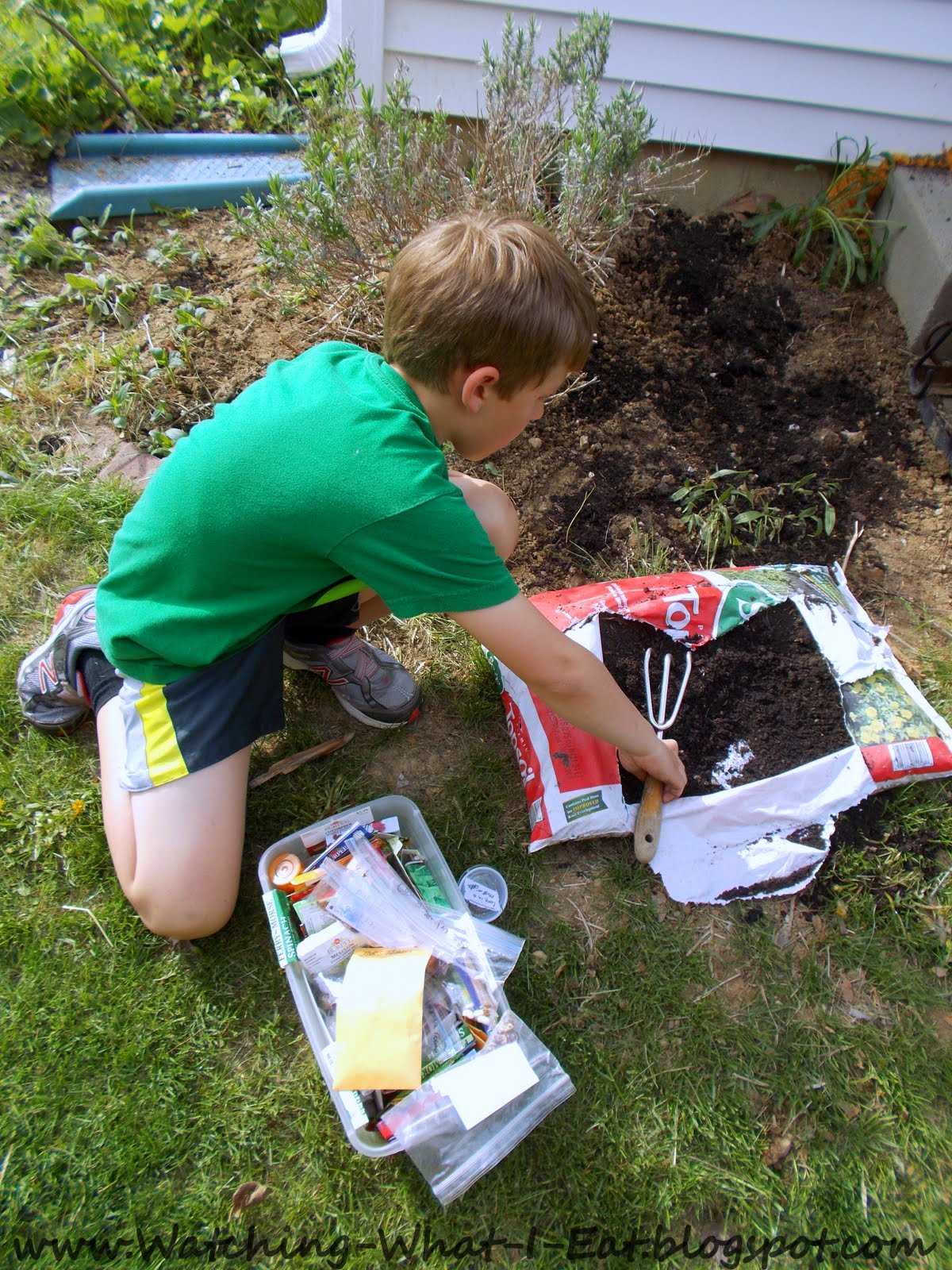 Watching What I Eat:  Garden 