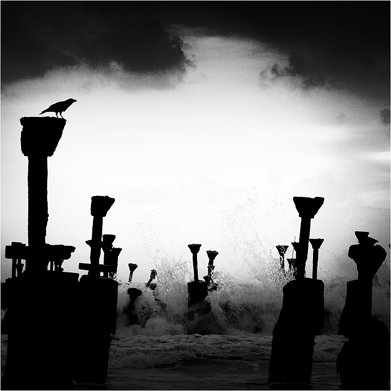 Emerging Photographers, Best Photo of the Day in Emphoka by Robins Mathew, https://flic.kr/p/vVcgDG Emerging Photographers, Best Photo of the Day in Emphoka by Robins Mathew, https://flic.kr/p/vVcgDG