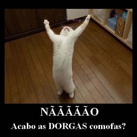 dorgas+larguei+06.jpg
