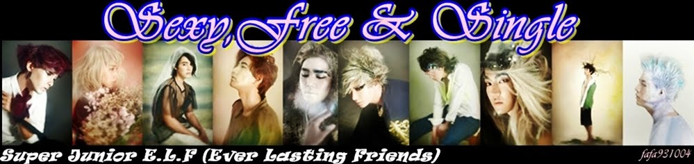 Super Junior E.L.F (Ever Lasting Friends)