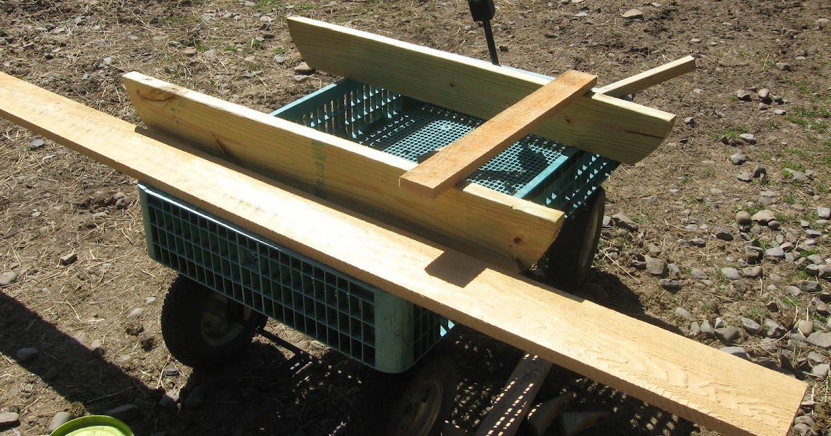 The Dancing Donkey Slow Feeder