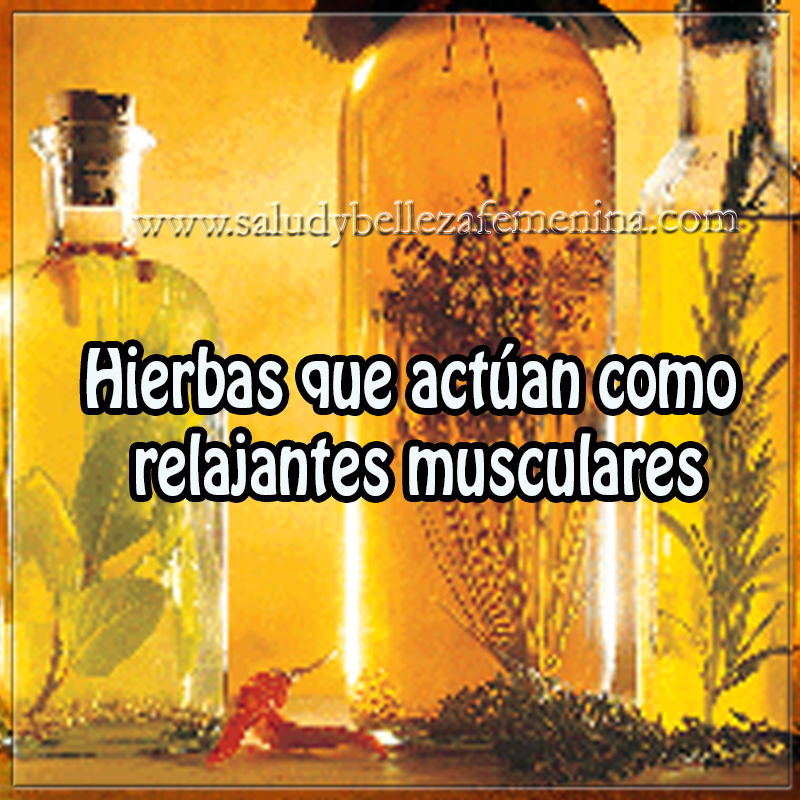 Hierbas que actúan como relajantes musculares salud y bienestar en cuerpo y mente, remedios caseros relajantes musculares
