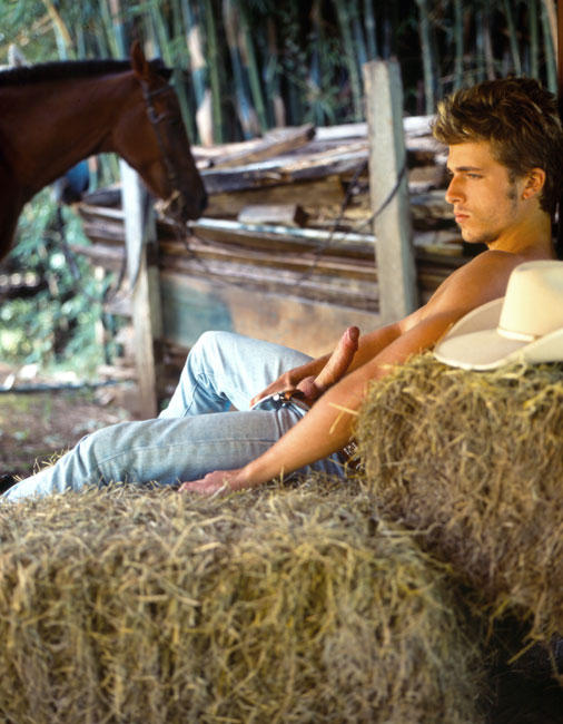 El Hombre Perfecto: Ricardo Villani (Parte II)