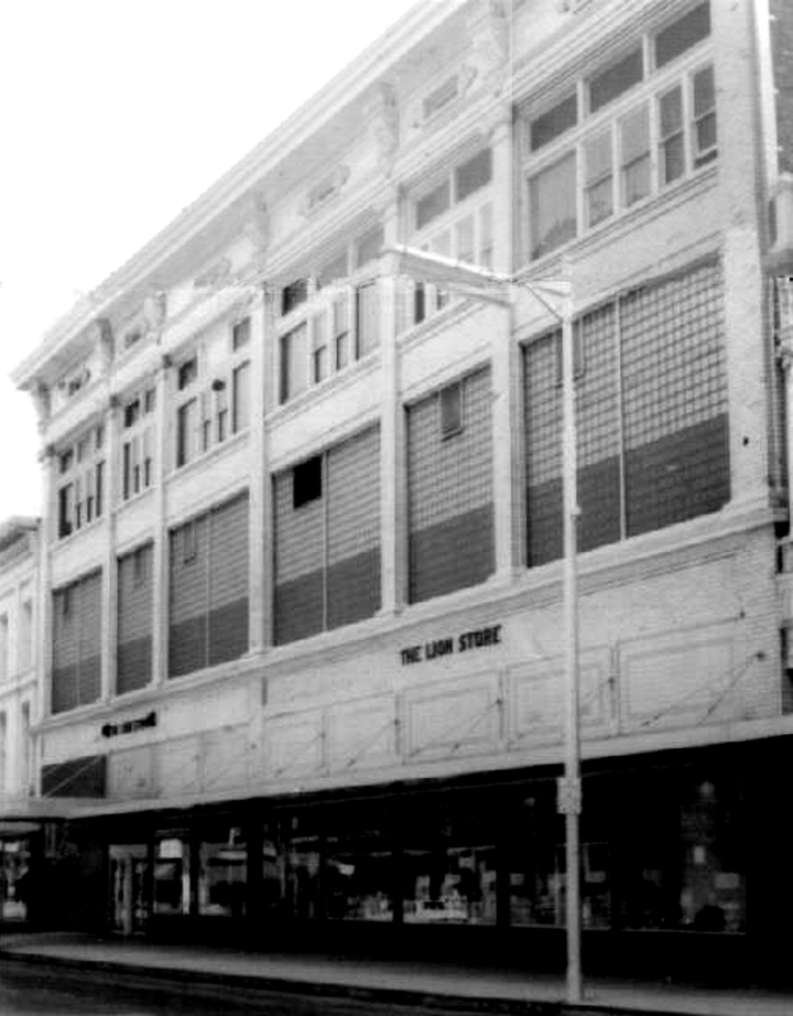 The Department Store Museum The Lion Store, Toledo, Ohio