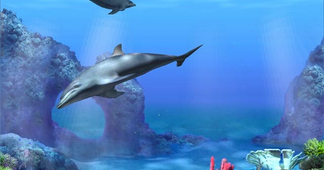 living dolphins 3d screensaver free