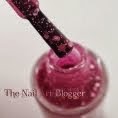 The Nail Art Blogger