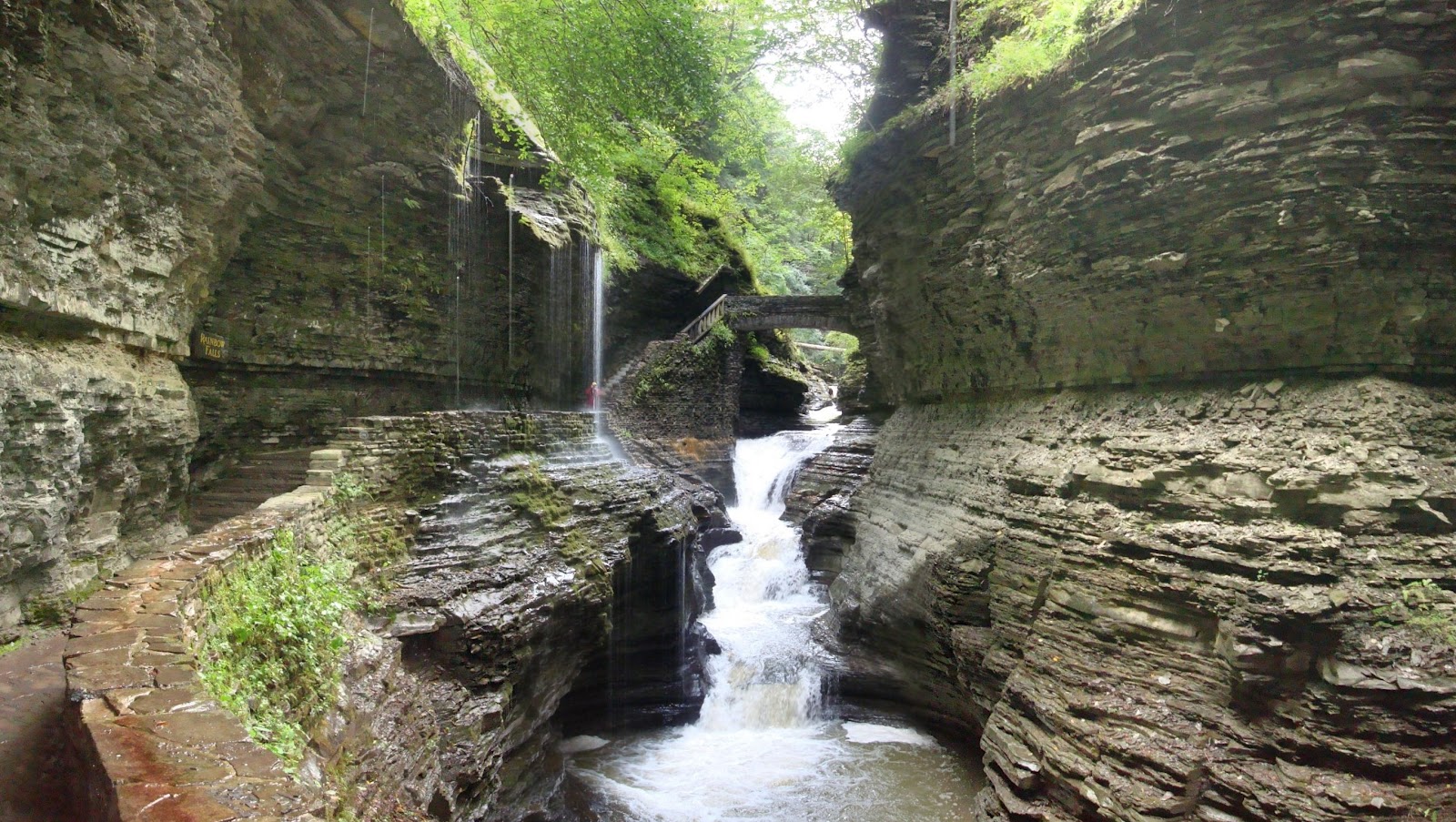 Watkins Glen State Park NATURE OF THE WORLD