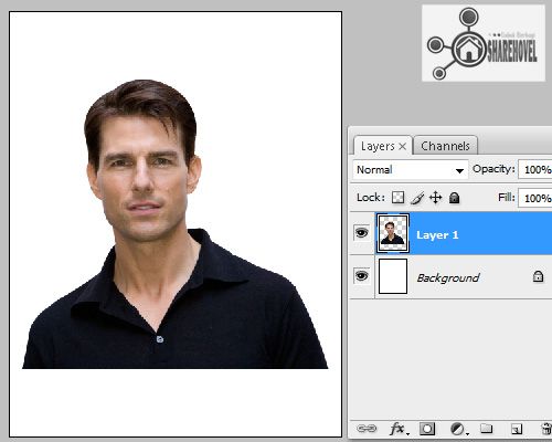 paste gambar yang telah di seleksi paste gambar yang telah di seleksi - Mengubah Foto Menjadi Karikatur Dengan Photoshop