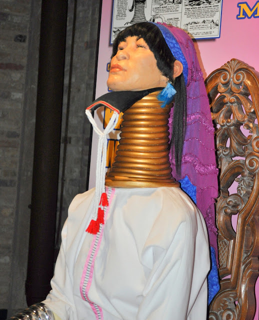 Ring Neck Stretcher The Dias Family Adventures