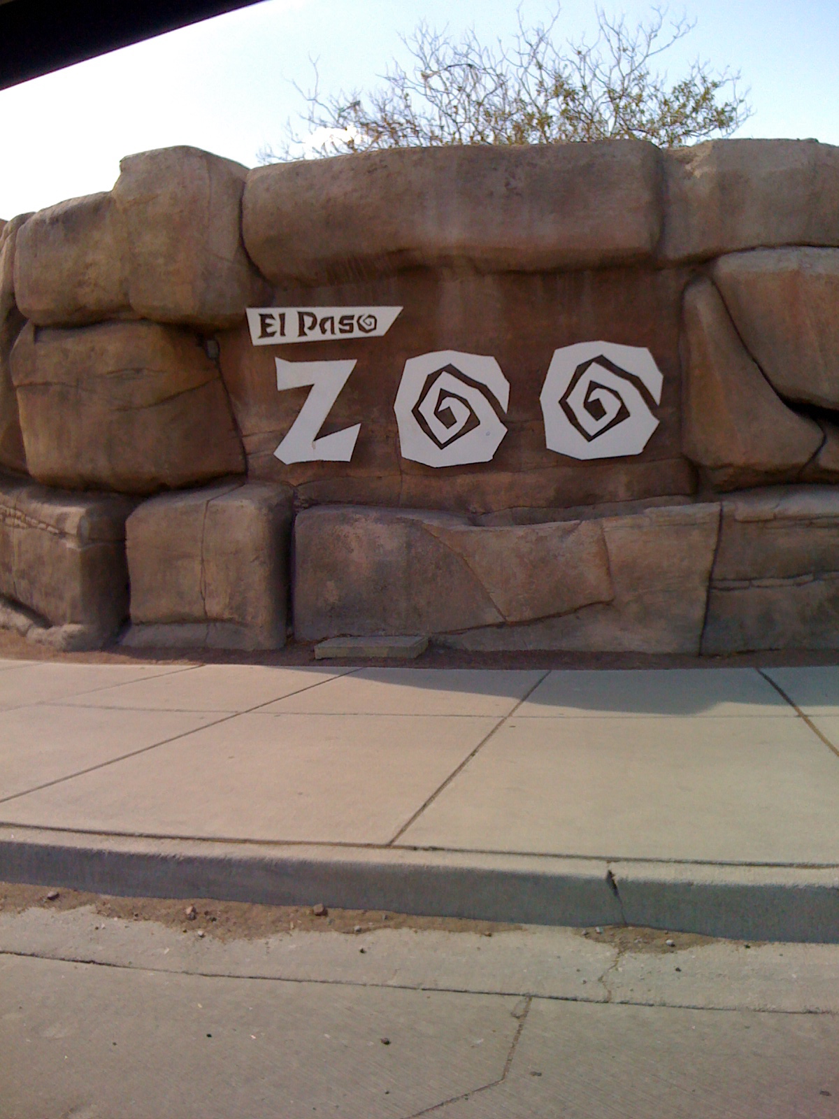 A Zoo Adventure First two days at the El Paso Zoo!