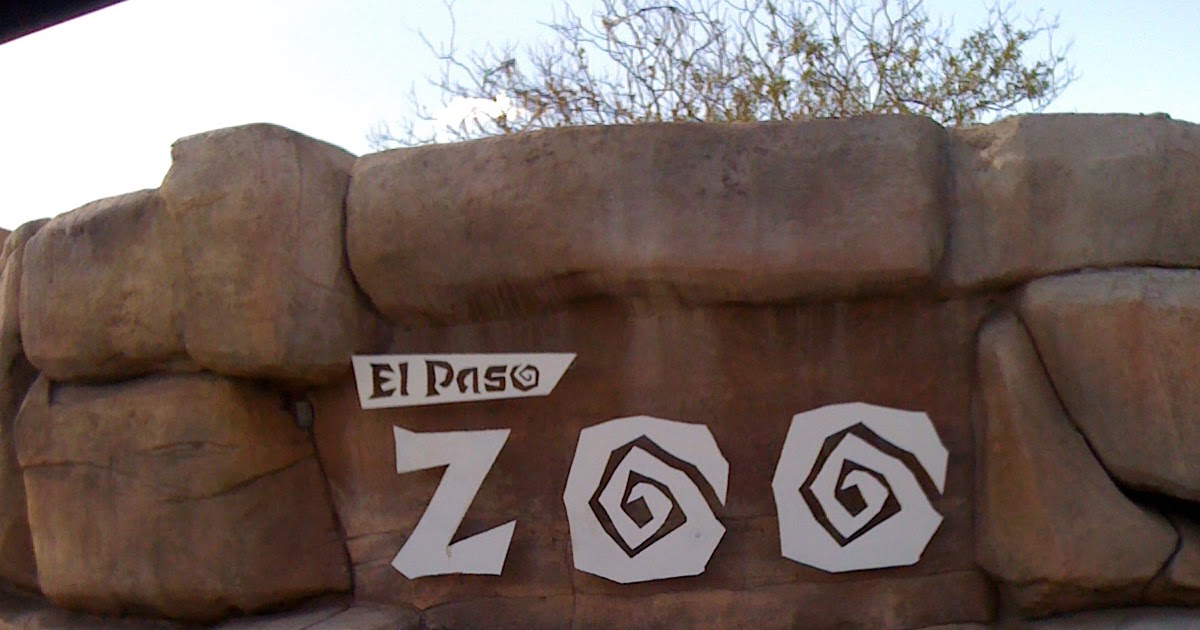 A Zoo Adventure First two days at the El Paso Zoo!