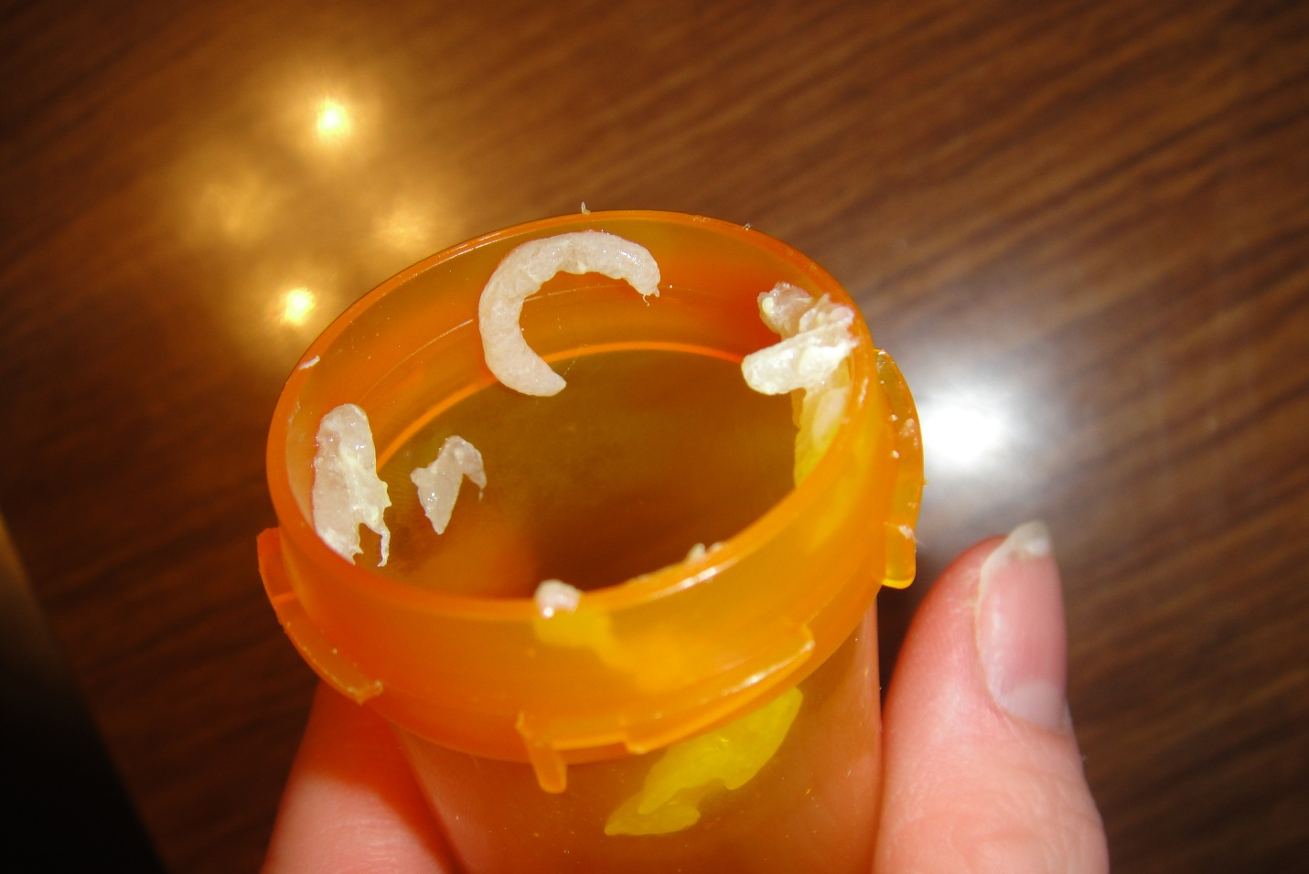 He Maketh No Mistakes Dillon is at CHOP