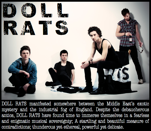 Doll Rats
