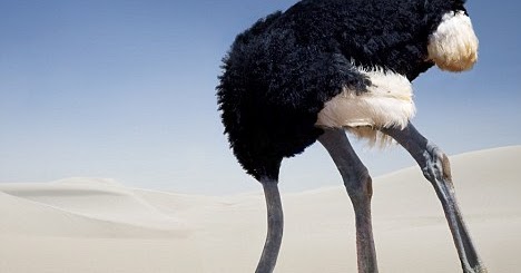 Know your world 23: Why does ostrich hide its head in sand?