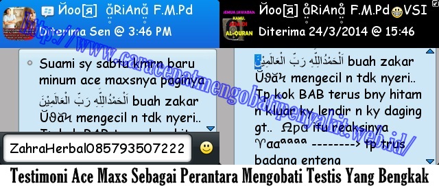 Testimoni Testis Bengkak Testimoni Testis Bengkak