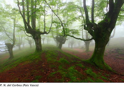 fotografia artistica-de-paisajes fotografia artistica-de-paisajes