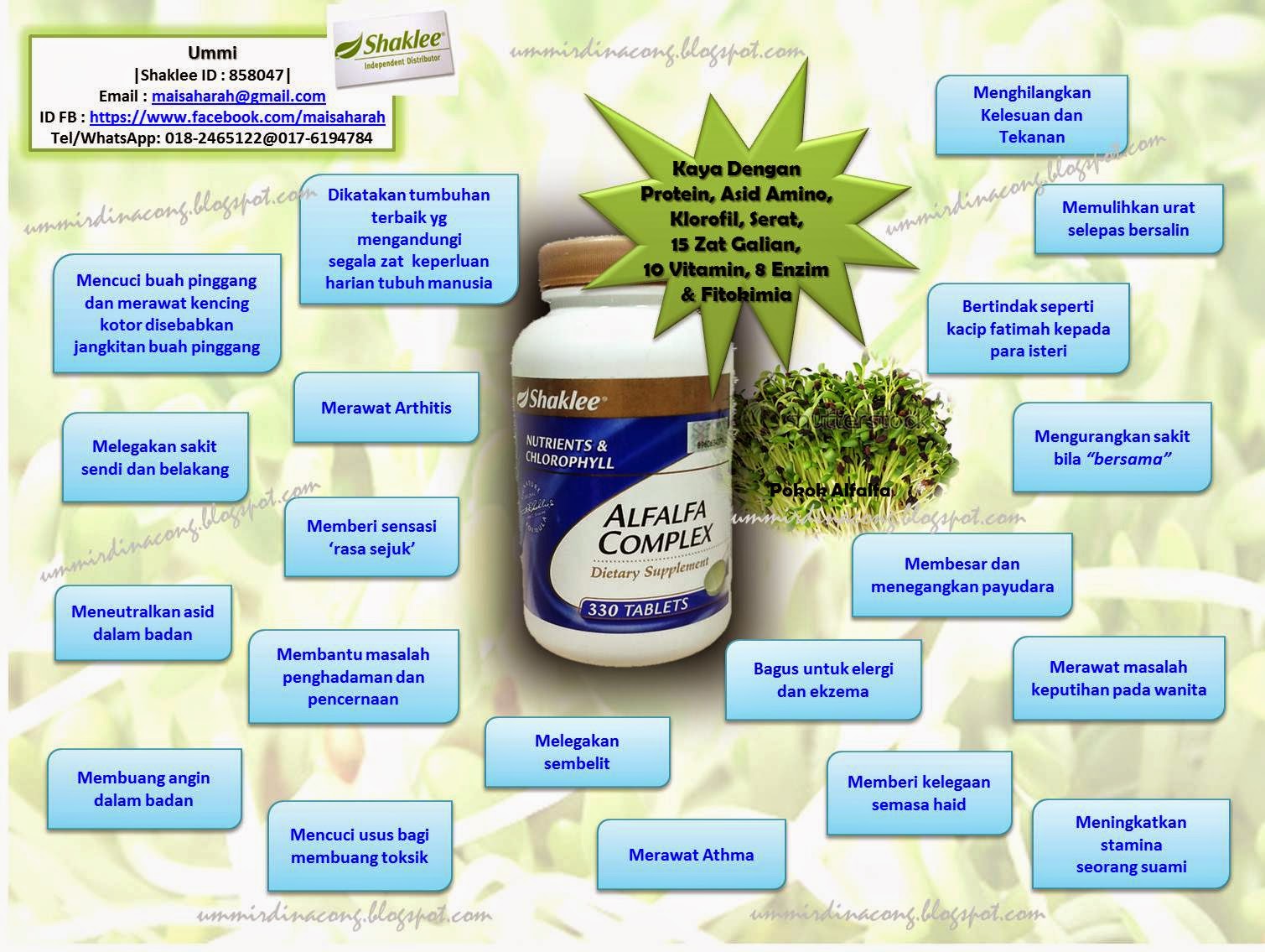 shaklee shaklee alfafa