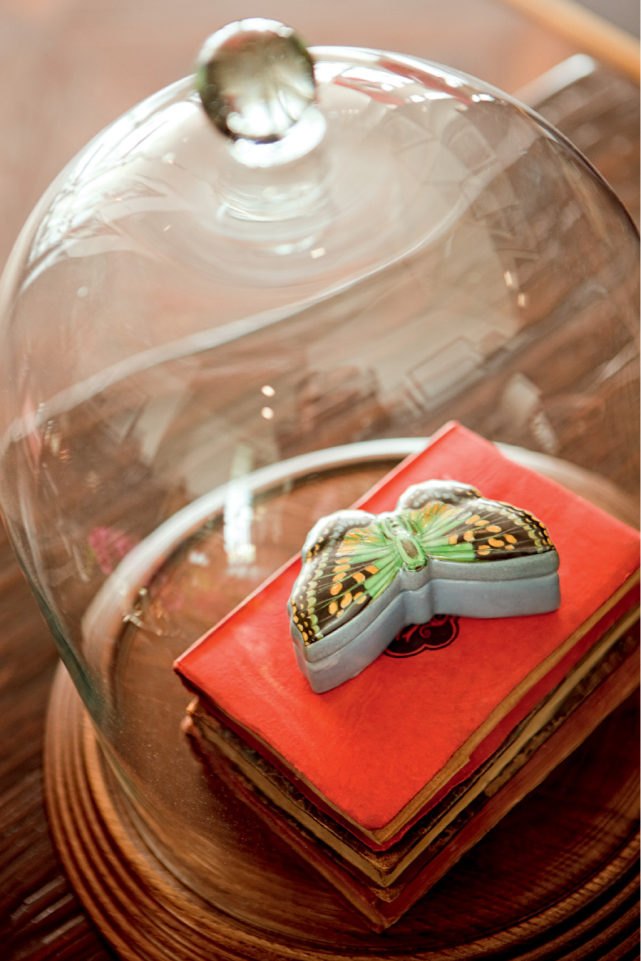 laostudio Darwin´s café