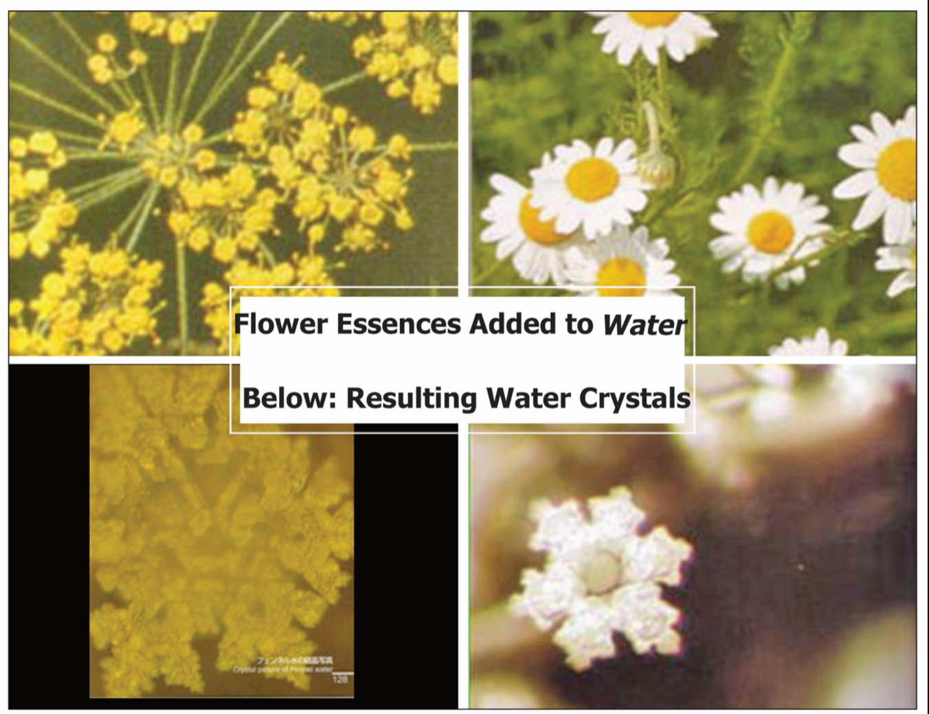 Water Crystals From Flower Essences - Masaru Emoto