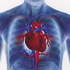 Heart Muscle Disease