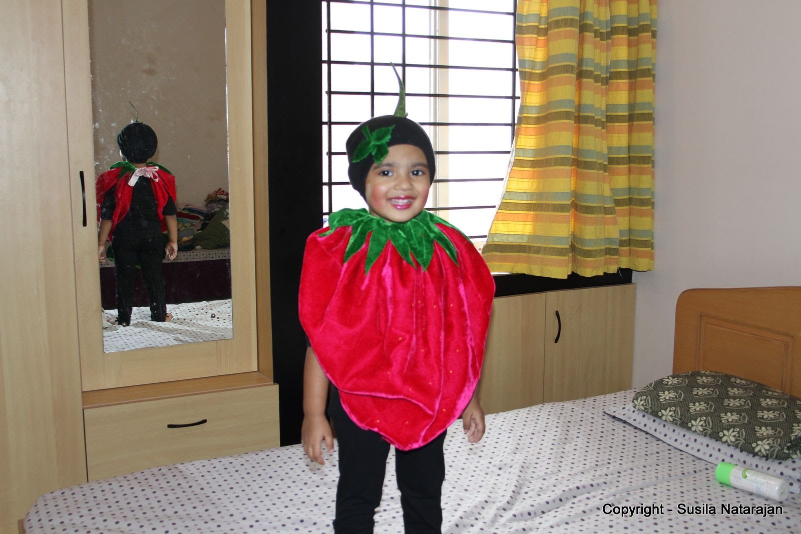 For Kids Fruits Day Hand Made Costume