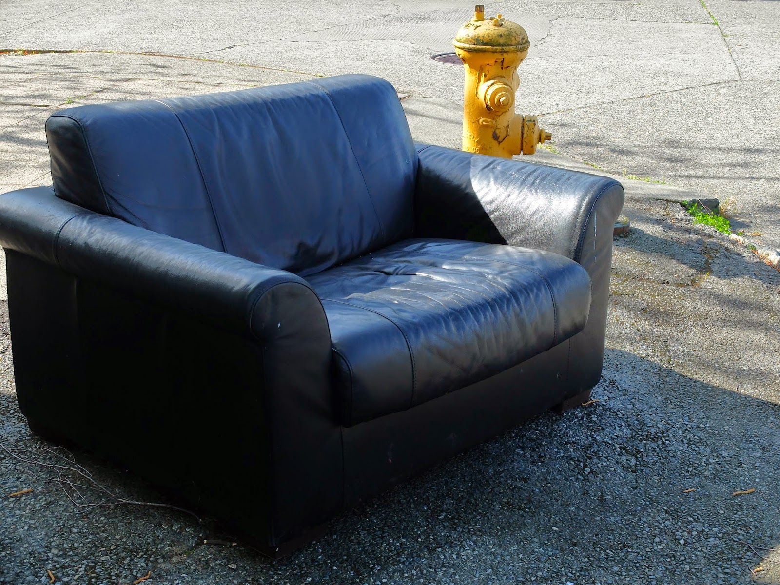 Travelmarx Loveseat And Fire Hydrant