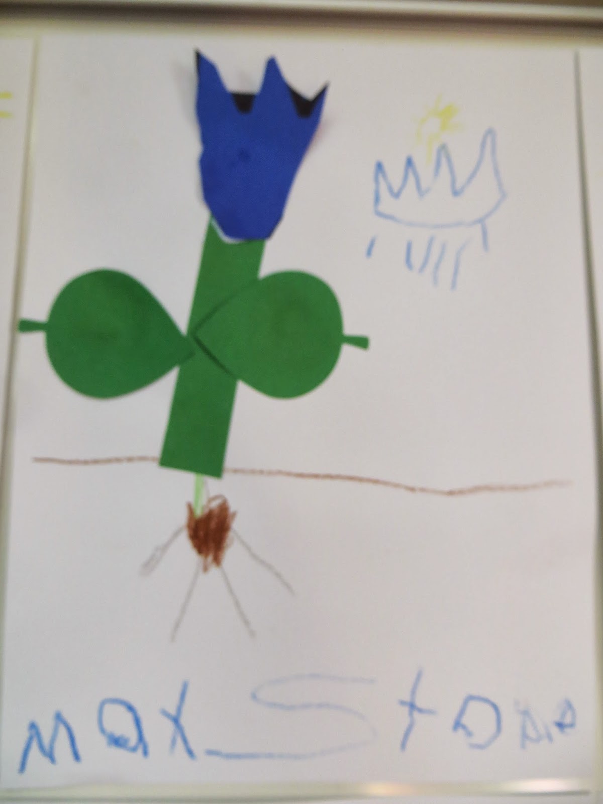 Preschool For Rookies: From a Seed to a Flower