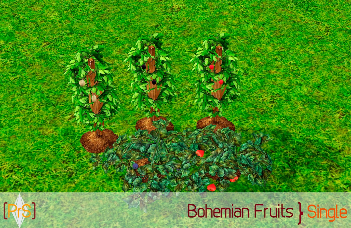 Bomehian Fruits Premium Sims