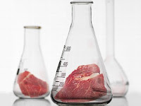 Carne artificial pode começar a ser produzida ainda em 2012