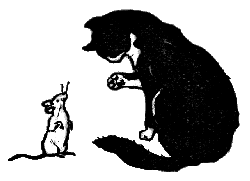 Black Cat Pear Vinegar Black Cat Pear Vinegar