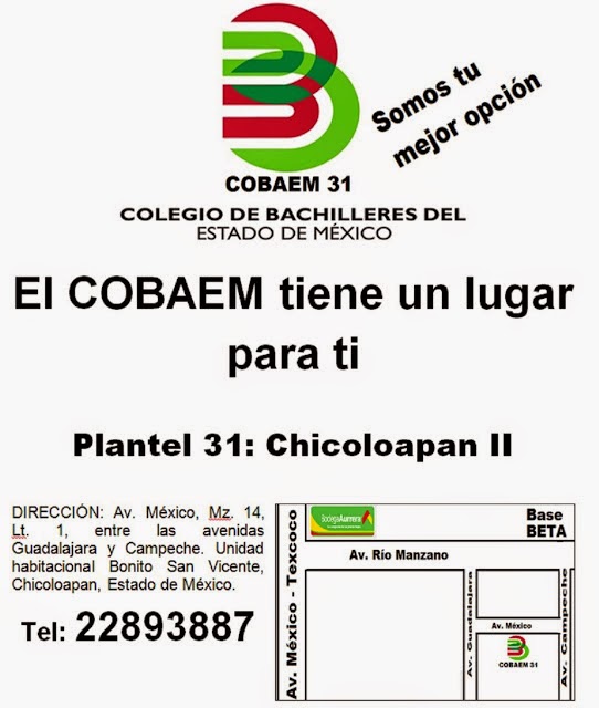 COBAEM31