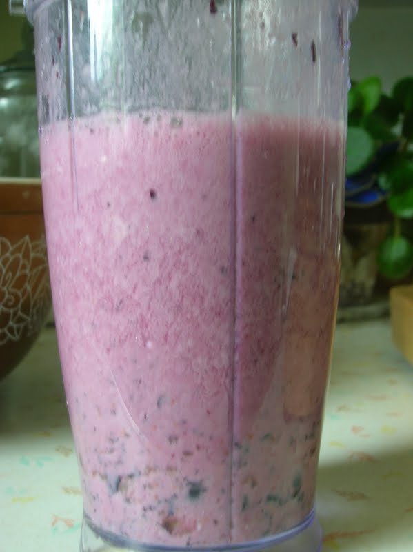 Rindy Mae Whole Wheat Chocolate Blueberry Cake