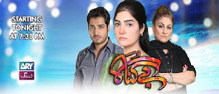 Bay Gunnah Episode 11 Ary Zindagi in High Quality 29th August 2015