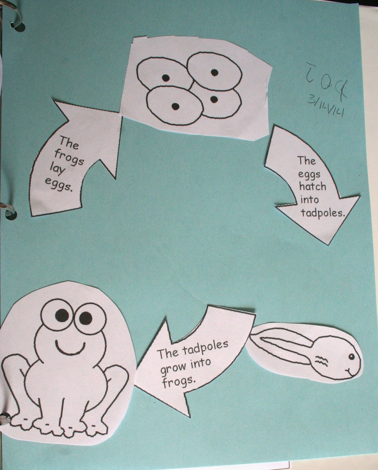 The Jacobs Journal: F is for Fish and Frog
