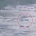 This man went fishing, when he captured something unexpected.