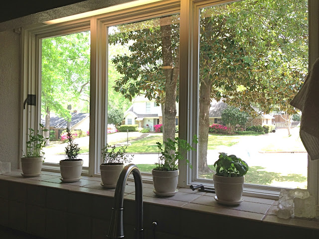 After: Twine Interiors herb garden