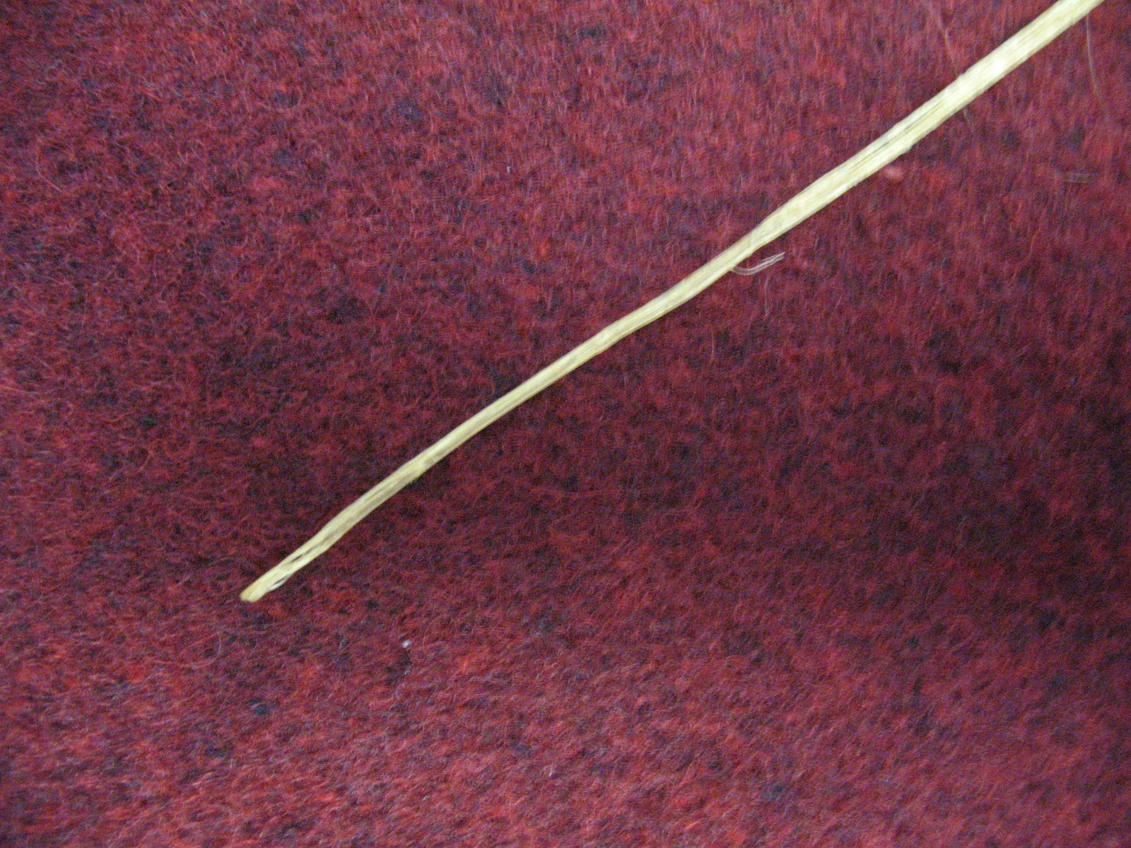 Sensible Survival How to Sew with Real Sinew