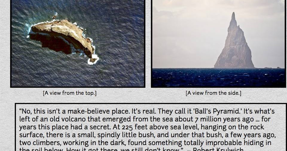 Writer's Resource The Mystery of Ball's Pyramid Revealed