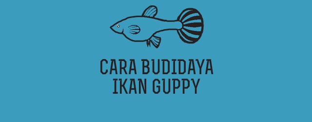 Ebook cara budidaya ikan guppy gratis