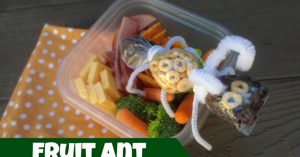 Lunchbox Dad A Fruit Ant Picnic Lunch