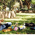Ganadores y ganadoras del 31º Concurso de Manchas del Colegio Ward