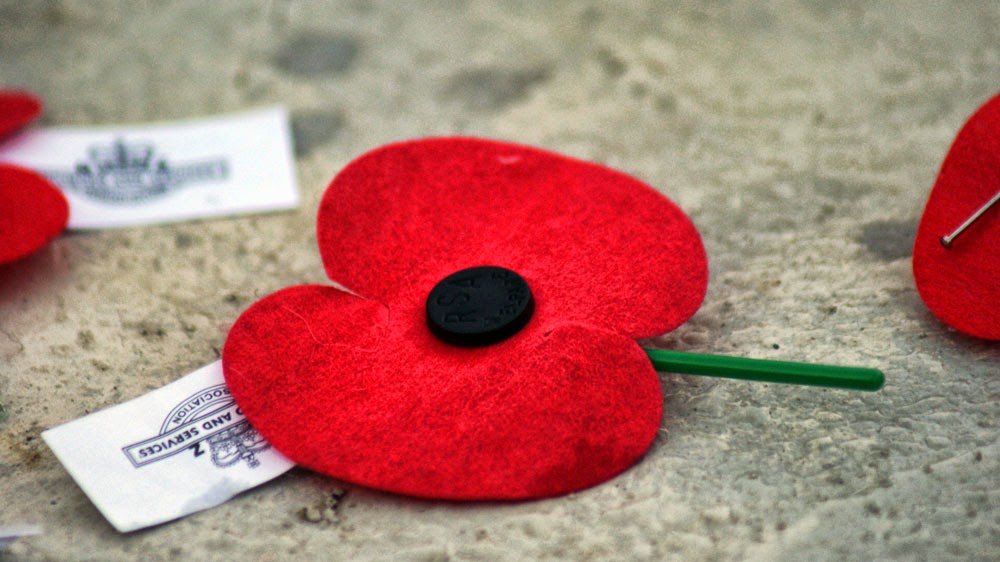 external image anzac-poppy.jpg