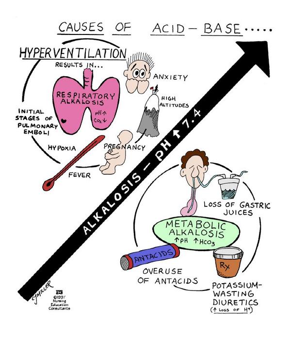narsingPH Causes of AcidBase Imbalances
