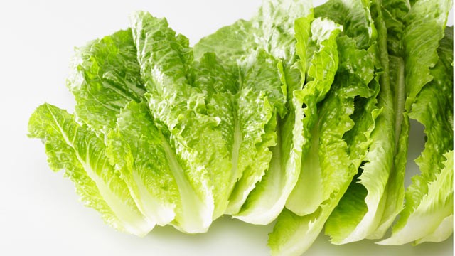 Manfaat Kecantikan Yang Tersembungi Dari Selada Manfaat Kecantikan Yang Tersembungi Dari Selada