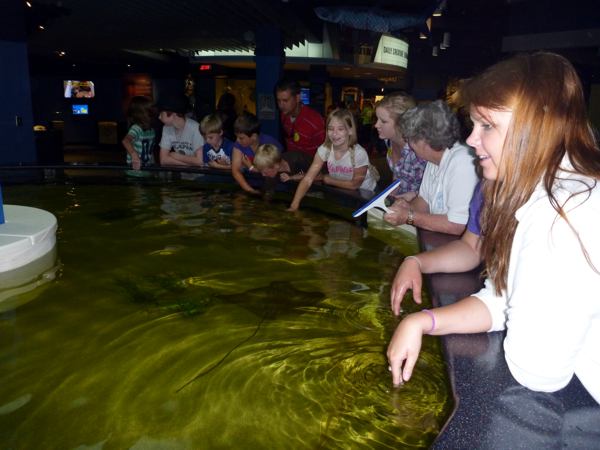 Kids Show With Otters That Lived On The River Kids Show With Otters That Lived On The River