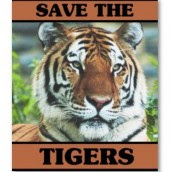 WWF Save The Tigers Campaign