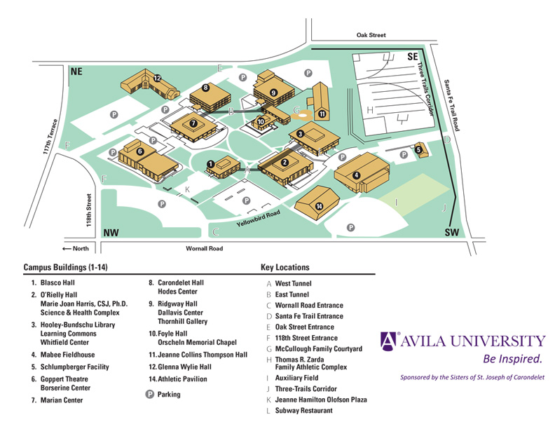 Avila College Kansas City Football Avila College Kansas City Football