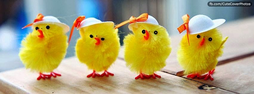 FB Cover Photos 2015 FB Cover Photos 2015