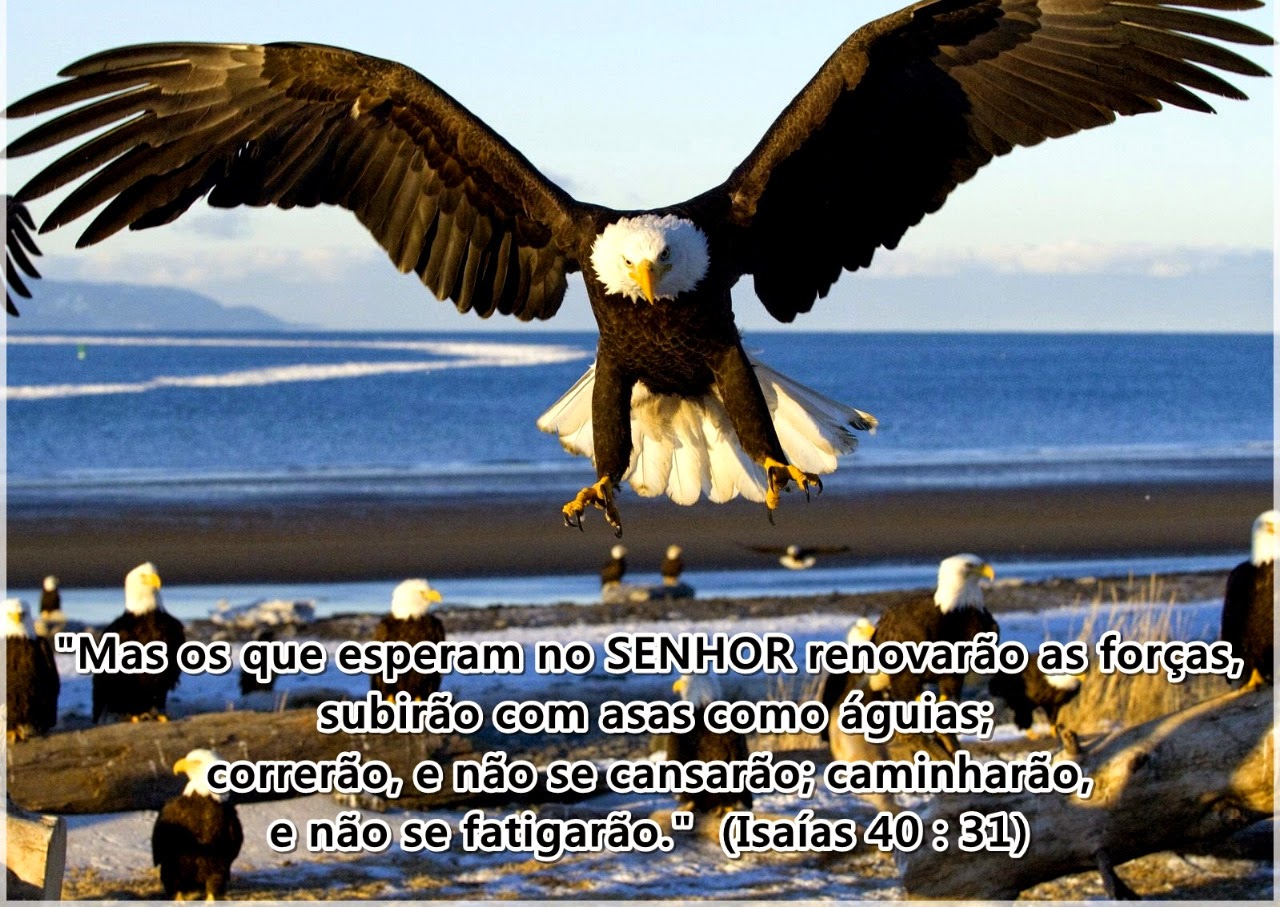 Tem pessoas que deus nos apresenta