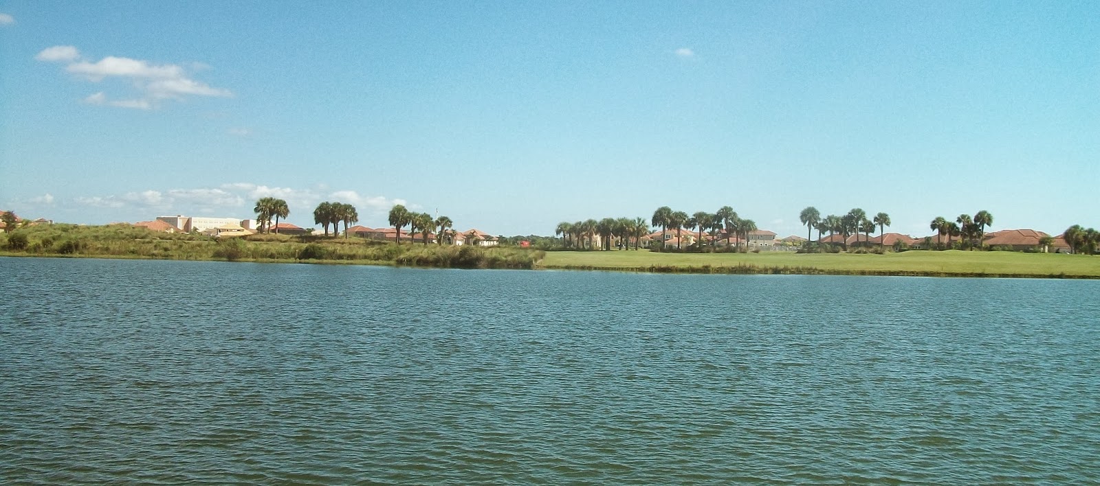 Homes for Sale in the Heritage Isle 55+ Community in Viera, Florida